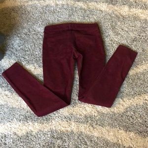 NWT Hollister Pants